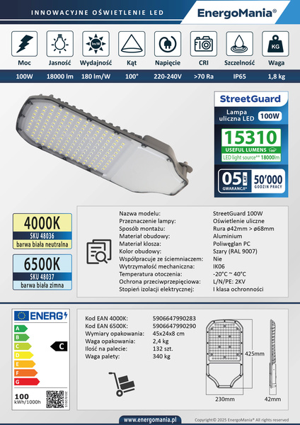 Lampa uliczna LED StreetGuard 100W 18000 lm