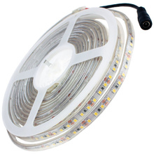 Taśma LED SMD3528 120 / 600 36W 5m IP65 wodoodporna